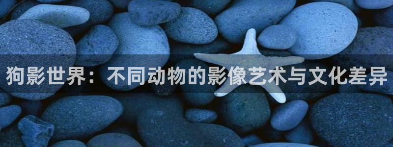 草民伦理视频