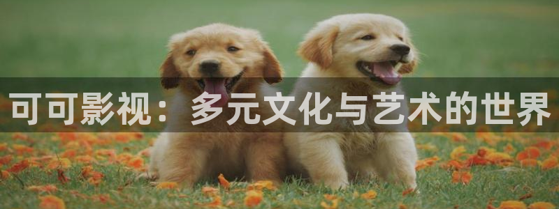 草民影院看一天：可可影视：多元文化与艺术的世界