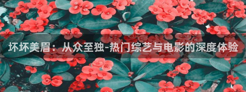 草民视频免费观看：坏坏美眉：从众至独-热门综艺与电影的深度体验