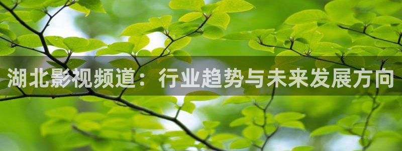 草民影院电视剧免费播放