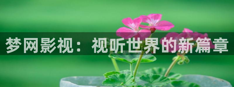 草民影视电视剧免费观看