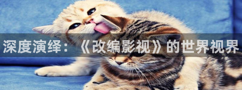 草民琪琪电影院：深度演绎：《改编影视》的世界视界
