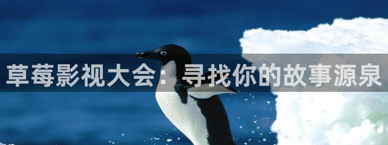 草民久久影院